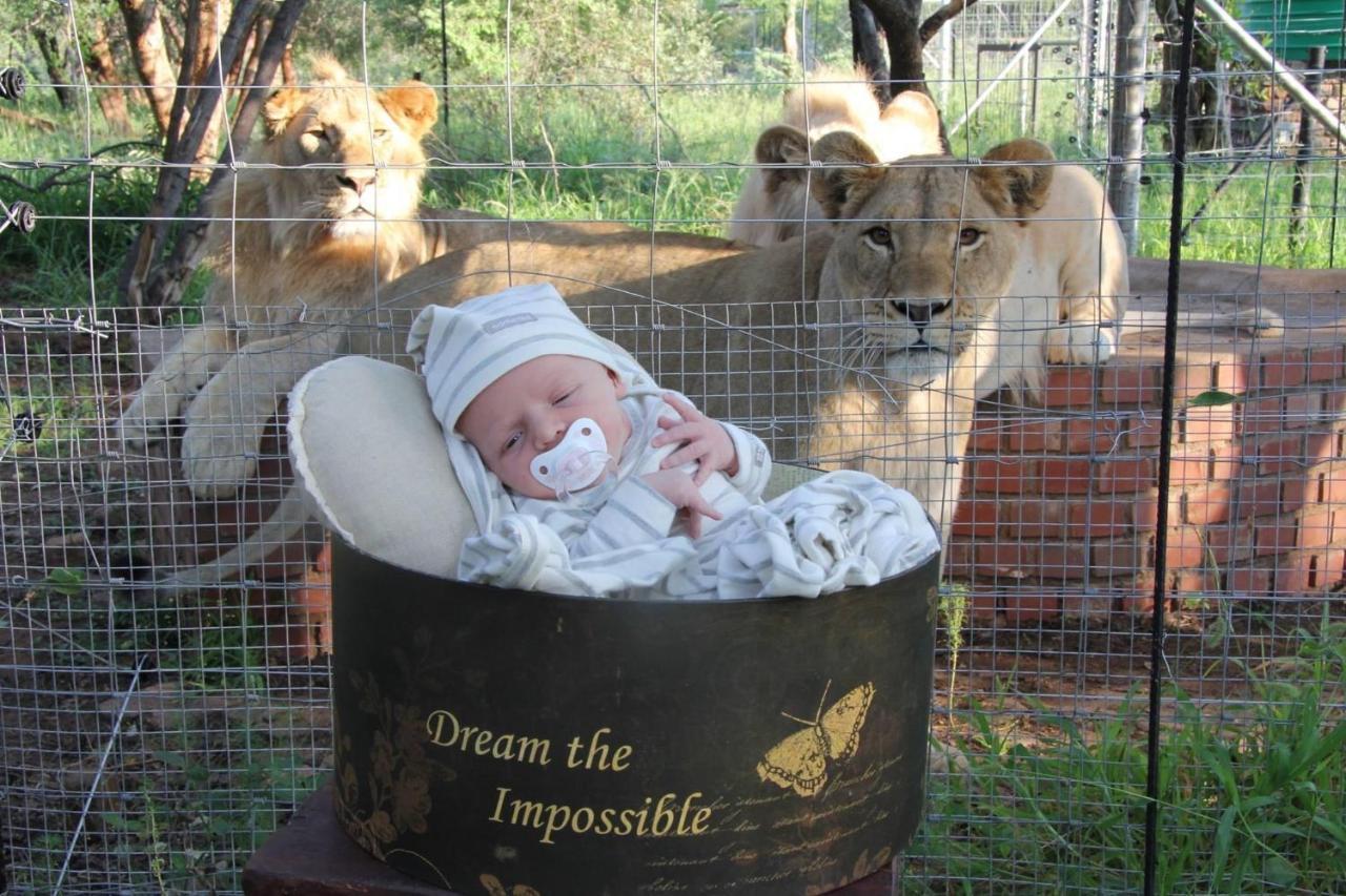 Simba Safaris African Pride Exotic Lodge Lephalale Exteriér fotografie