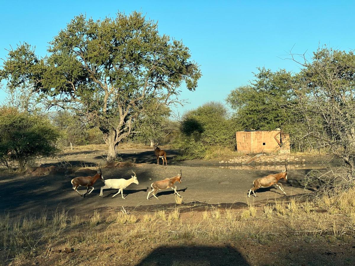 Simba Safaris African Pride Exotic Lodge Lephalale Exteriér fotografie