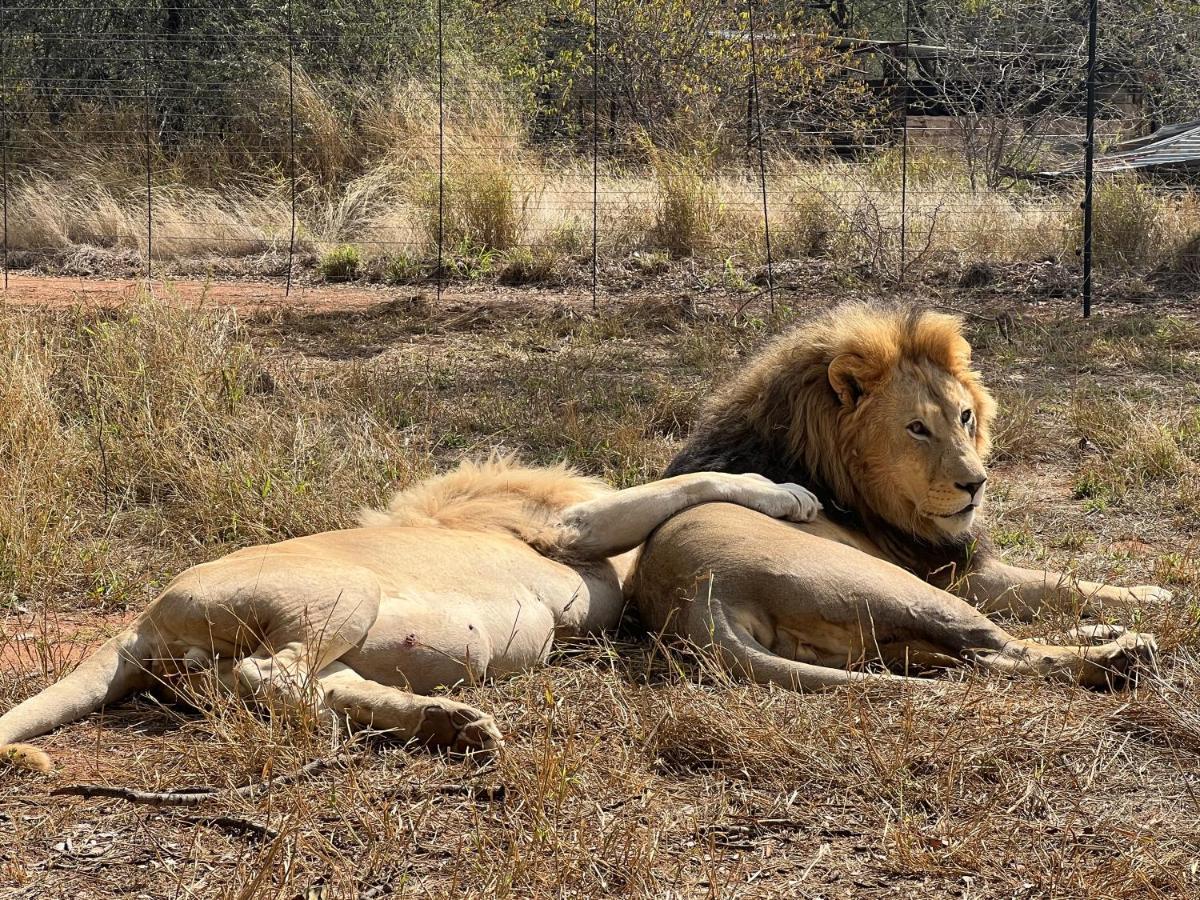 Simba Safaris African Pride Exotic Lodge Lephalale Exteriér fotografie