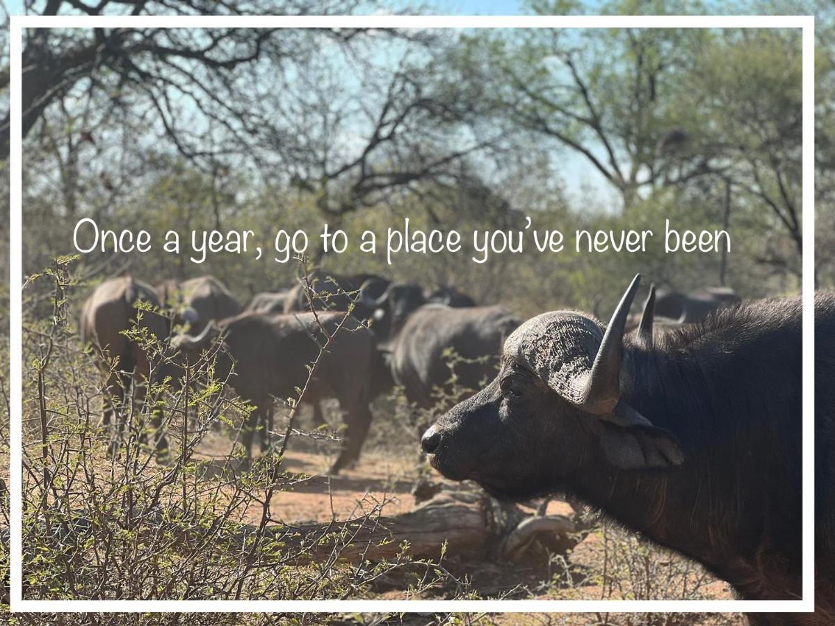 Simba Safaris African Pride Exotic Lodge Lephalale Exteriér fotografie