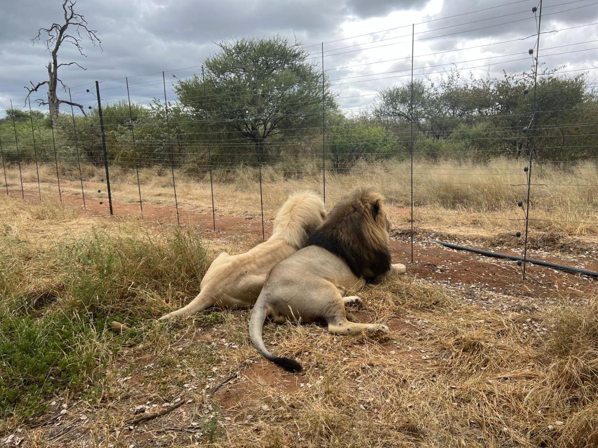 Simba Safaris African Pride Exotic Lodge Lephalale Exteriér fotografie