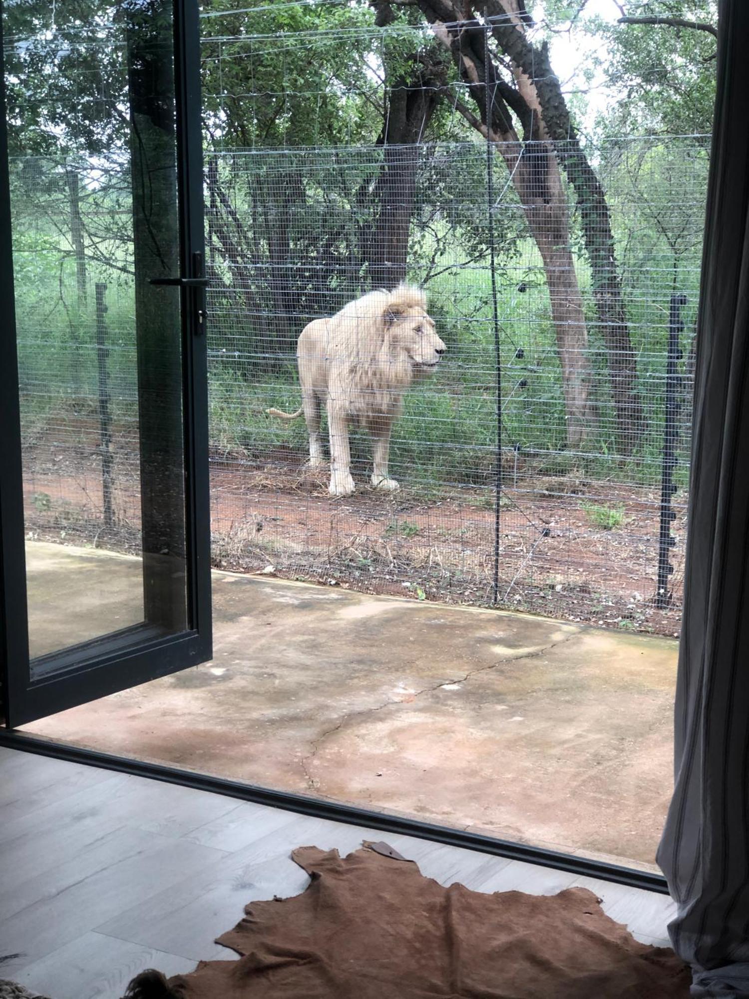 Simba Safaris African Pride Exotic Lodge Lephalale Exteriér fotografie