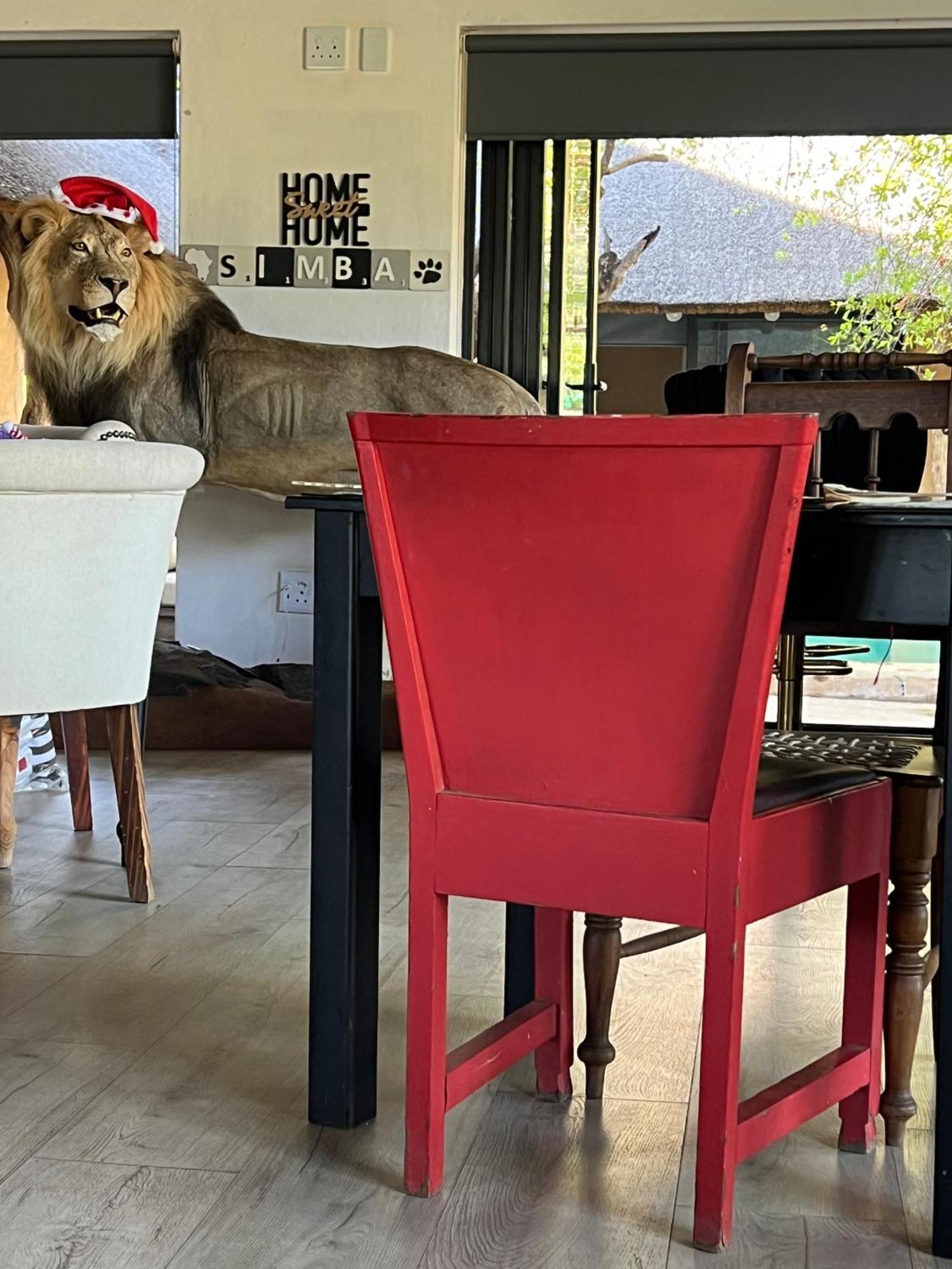 Simba Safaris African Pride Exotic Lodge Lephalale Exteriér fotografie