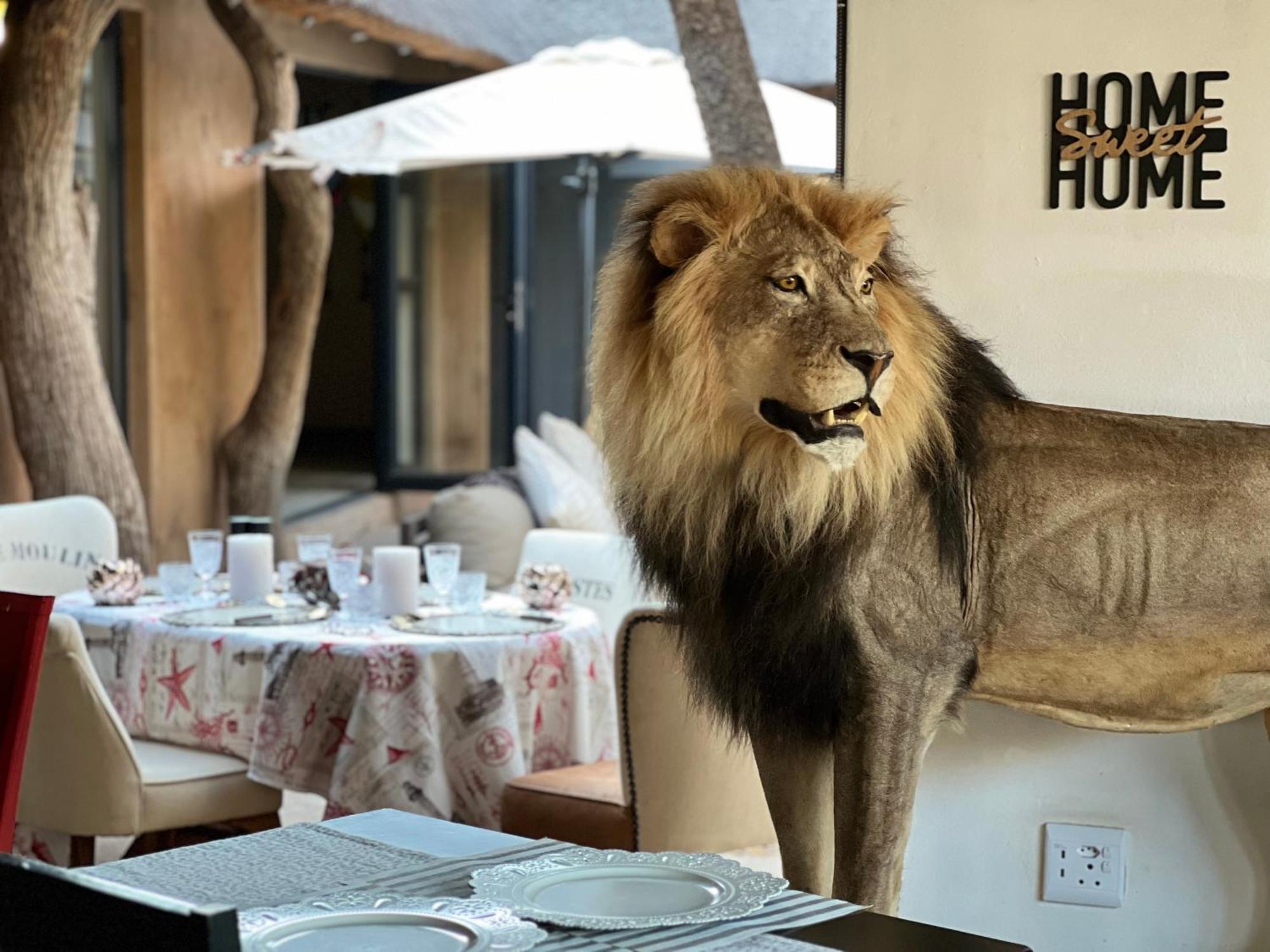 Simba Safaris African Pride Exotic Lodge Lephalale Exteriér fotografie
