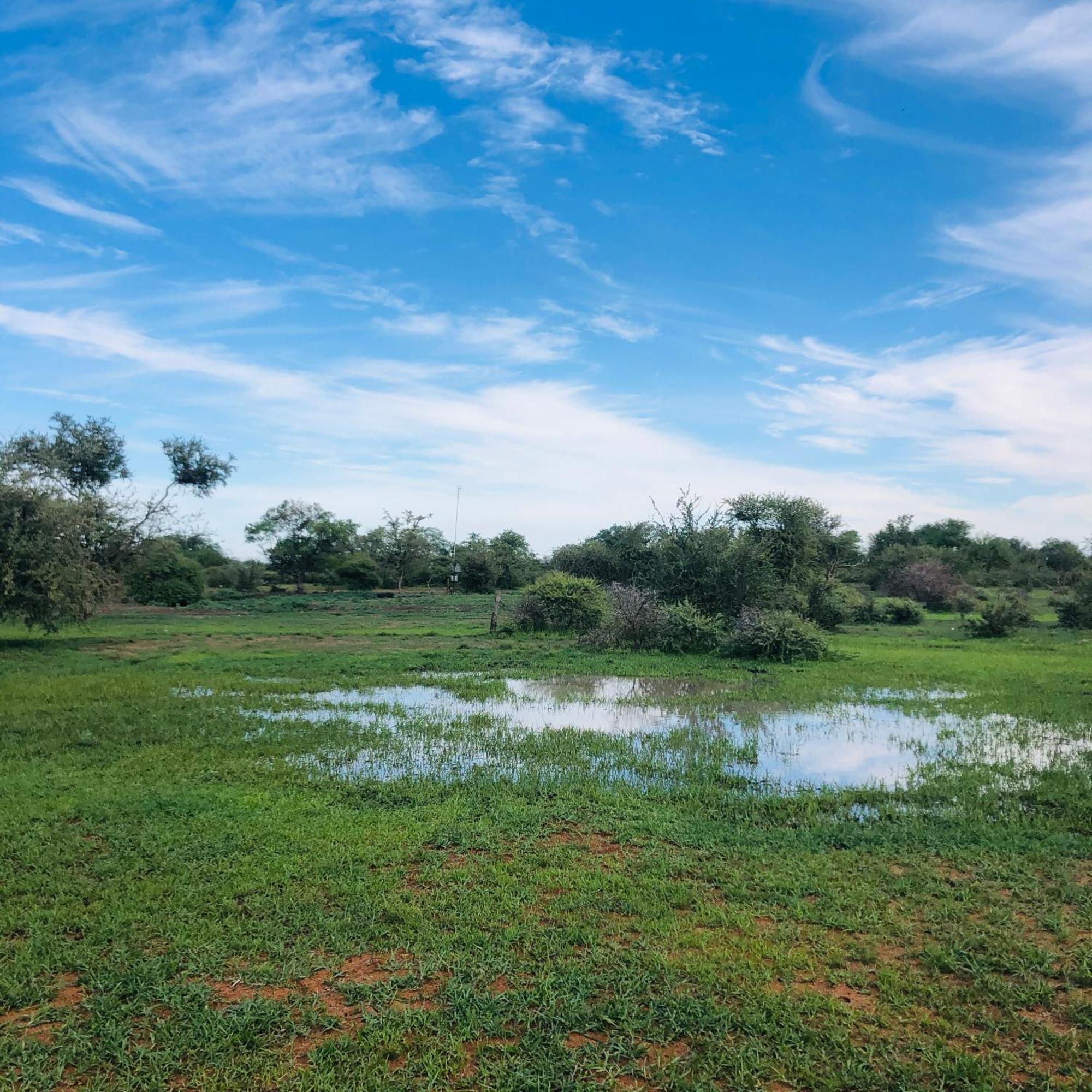 Simba Safaris African Pride Exotic Lodge Lephalale Exteriér fotografie