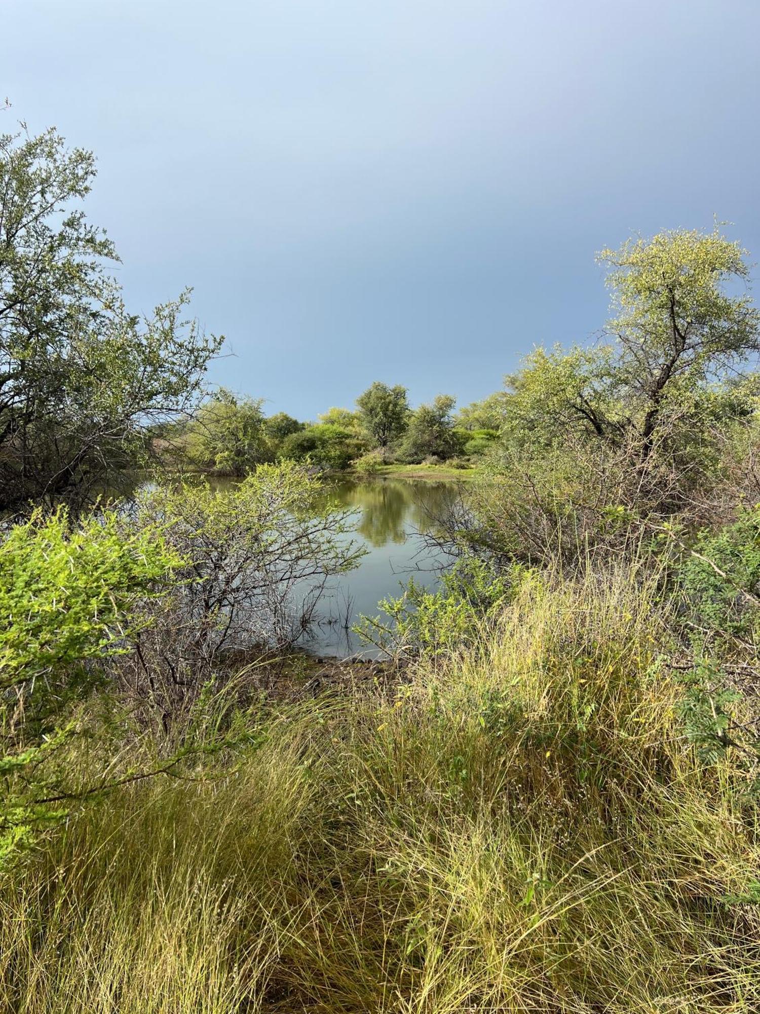 Simba Safaris African Pride Exotic Lodge Lephalale Exteriér fotografie